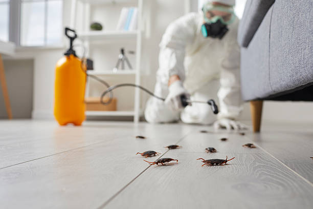 Trusted Rodent Control service in Wartburg, TN - Nex Pest Control