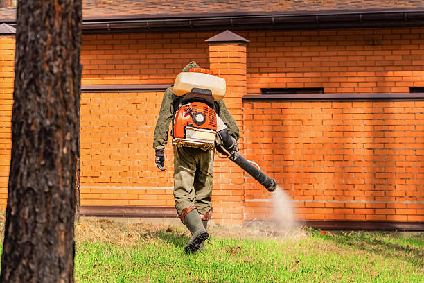 Trusted Cockroach Control service in Wartburg, TN - Nex Pest Control